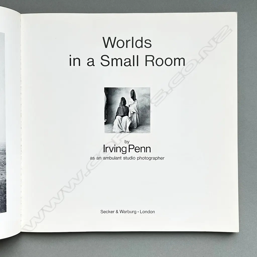 IRVING PENN: WORLDS IN A SMALL ROOM Image 1++